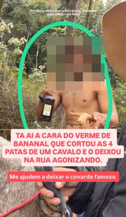 Ana Castela denuncia maus-tratos contra cavalo 
