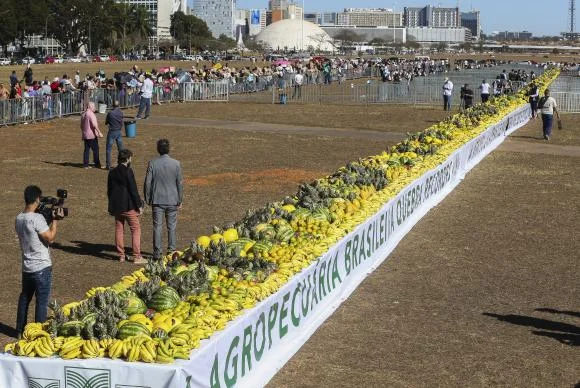 Nutritivas e baratas: veja quais são as frutas de novembro