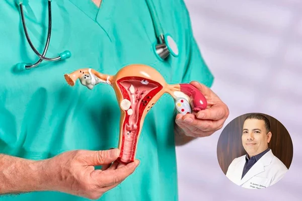 Médico mostra estrutura interna de um útero feminino - Metrópoles