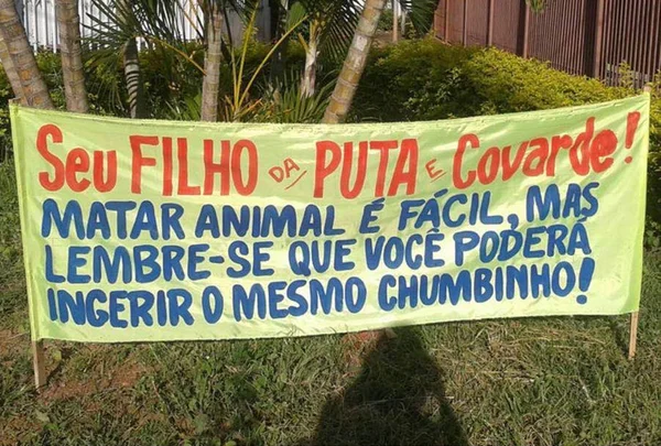 Animais são vítimas de envenenamento por chumbinho em quadra do Guará II