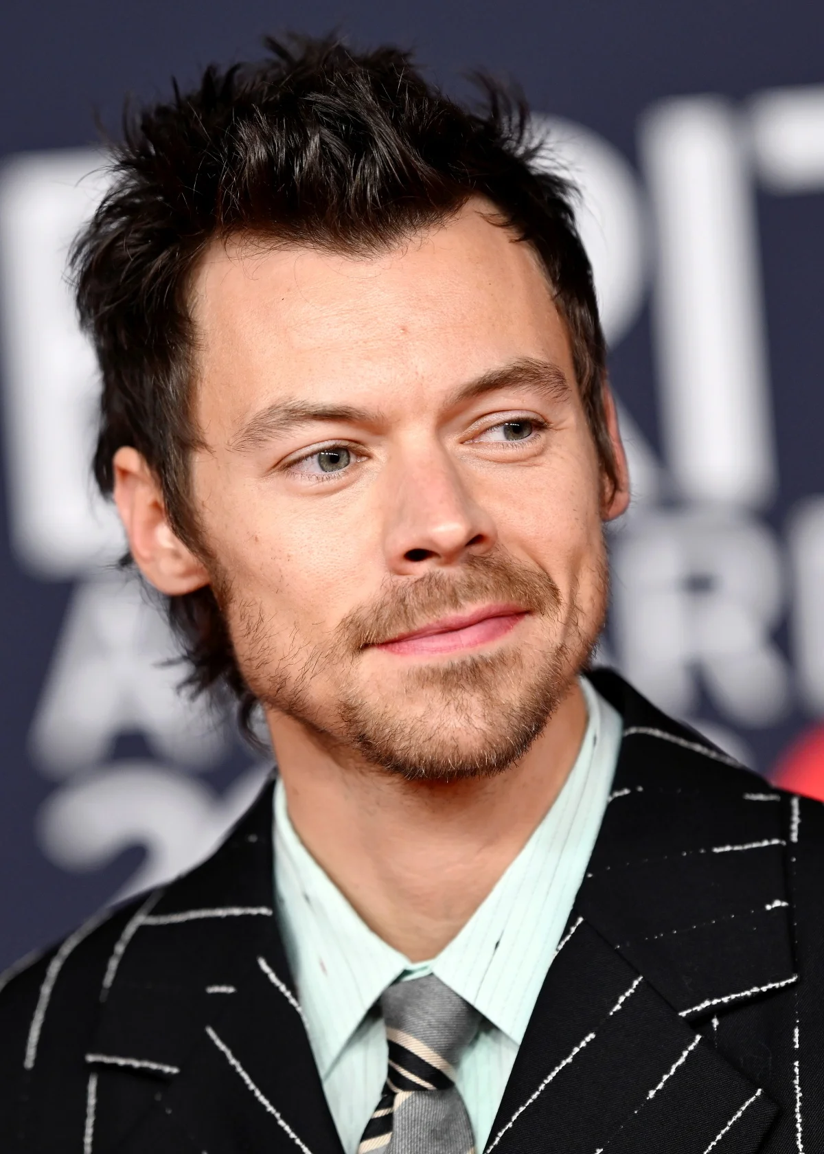 Harry Styles transformou o bigode fino em uma parte essencial do seu estilo Harry Styles transformou o bigode fino em uma parte essencial do seu estilo