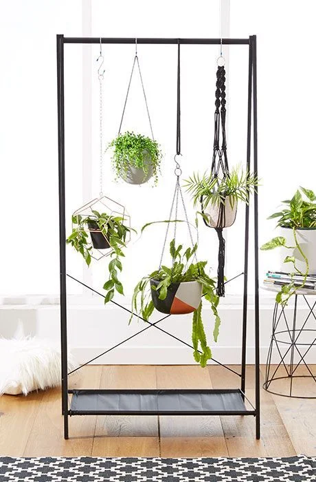 Uma antiga arara de roupas foi reutilizada para pendurar diversas plantas Uma antiga arara de roupas foi reutilizada para pendurar diversas plantas
