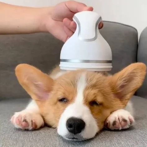 Assim como os tutores, os cães também gostam de massagem. O massageador da Seu Dog Feliz promete relaxar e tranquilizar o seu pet. Perfeito para os momentos em que eles estão muito agitados Assim como os tutores, os cães também gostam de massagem. O massageador da Seu Dog Feliz promete relaxar e tranquilizar o seu pet. Perfeito para os momentos em que eles estão muito agitados