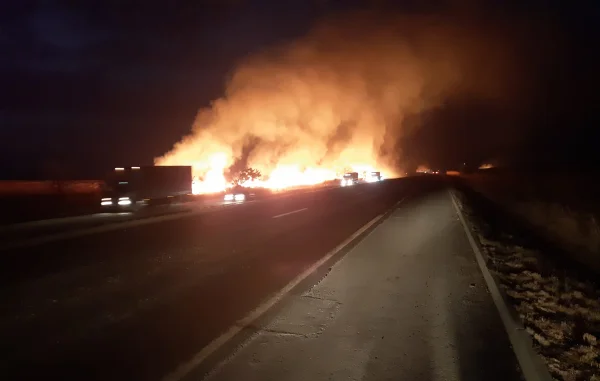 Produtor rural é preso por incendiar mata às margens da BR-153 em GO