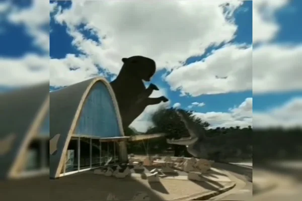 Lagoa da Pampulha em BH vira ringue em duelo de animais gigantes; vídeo