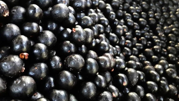 Brasil faz sucesso na Alemanha com produtos como pão de queijo e açaí