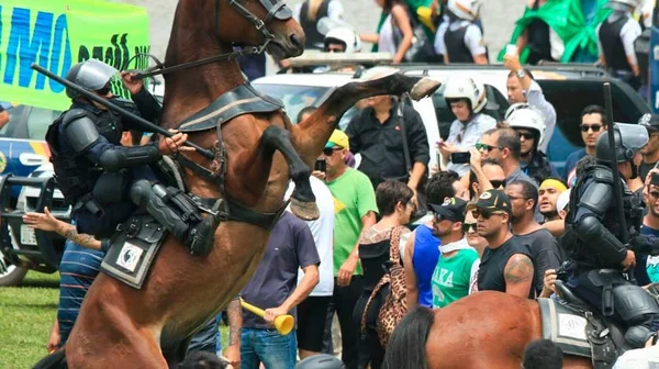 Militar em cavalo da PMDF