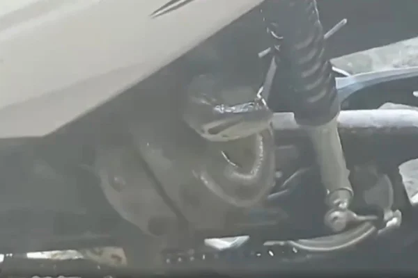 iMAGEM COLORIDA DE SUCURI EM MOTO