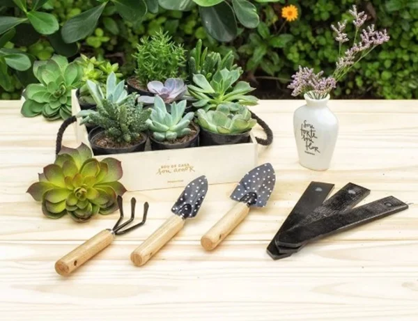 Sete acessórios para cuidar das suas plantas e mantê-las sempre vivas