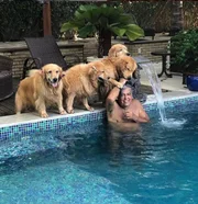 Essa é a primeira neta de Sidney Essa é a primeira neta de Sidney