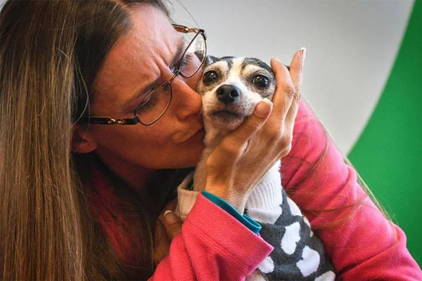 Após 12 anos desaparecida, cadela é encontrada a 1.600 km de casa
