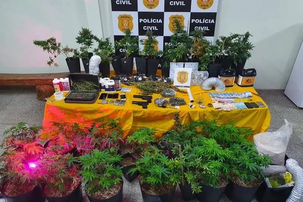 Polícia descobre laboratório no Lago Norte que produzia maconha gourmet