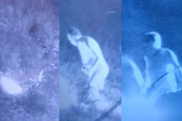 Vídeo flagra momento em que homem inicia incêndio em rodovia de SP