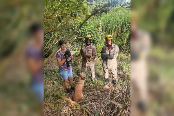 goias filhotes resgatados em cisterna