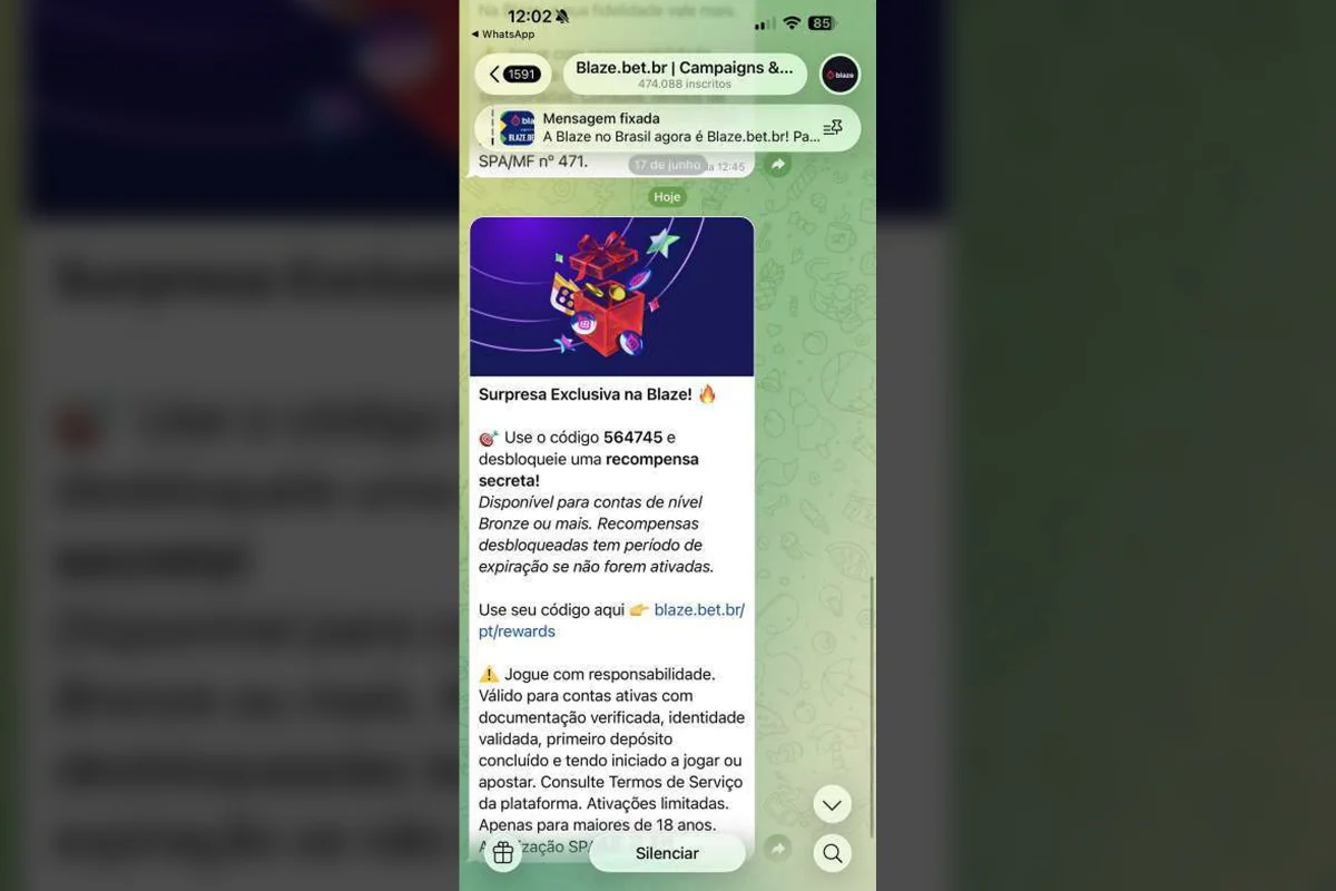 Print anexado aos autos pela defesa de Willer tenta mostrar que Willer recebia mensagens de propaganda da Blaze Print anexado aos autos pela defesa de Willer tenta mostrar que Willer recebia mensagens de propaganda da Blaze