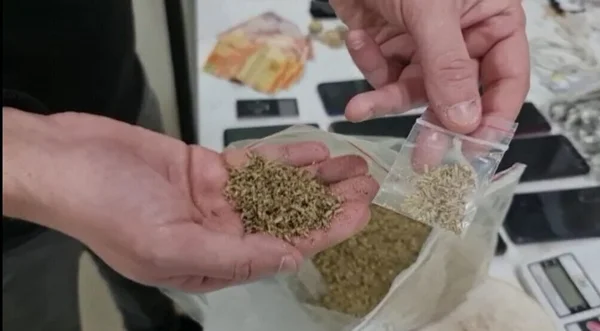 Efeito zumbi: SP faz exame com fios de cabelo para investigar drogas K