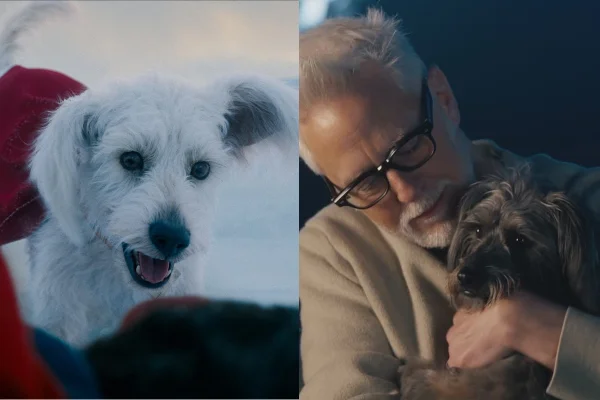 Conheça o cachorro real que inspirou Krypto, companheiro do Superman