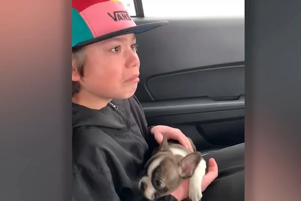 Vídeo: antes de morrer, pai deixa cachorro de presente para filho