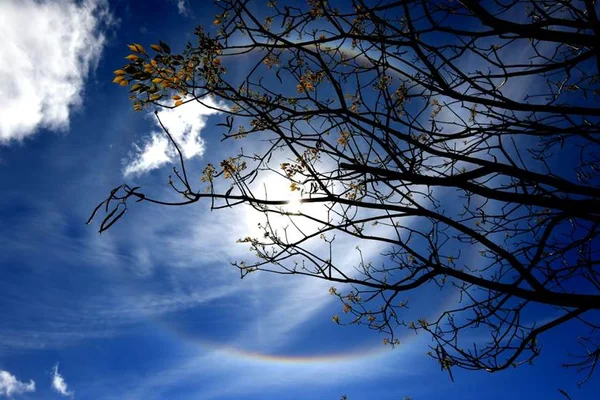 Arco-íris em volta do sol chama atenção dos brasilienses