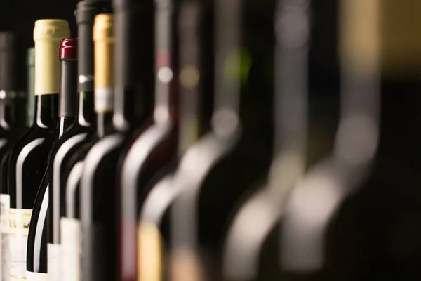 Natal e Ano-Novo: 10 vinhos de até R$ 60 para arrasar na ceia