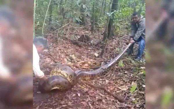 goias sucuri 9 metros