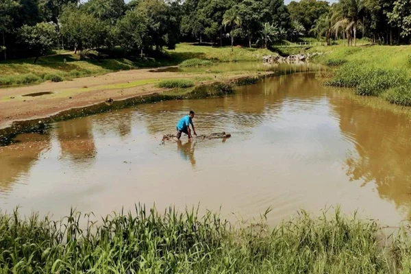 Homem salva cadela presa em lama de parque em Goiânia; vídeo