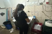 Operação foi realizada nesta quinta-feira (8/10)