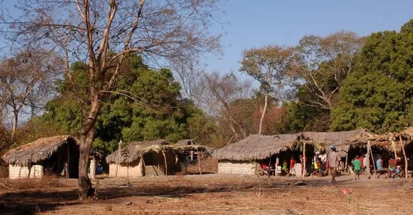 goias quilombo kalunga