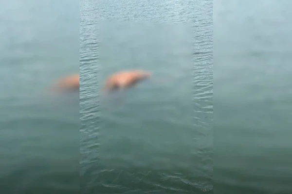 Vídeo: corpo de homem encontrado boiando no Lago Paranoá estava nu