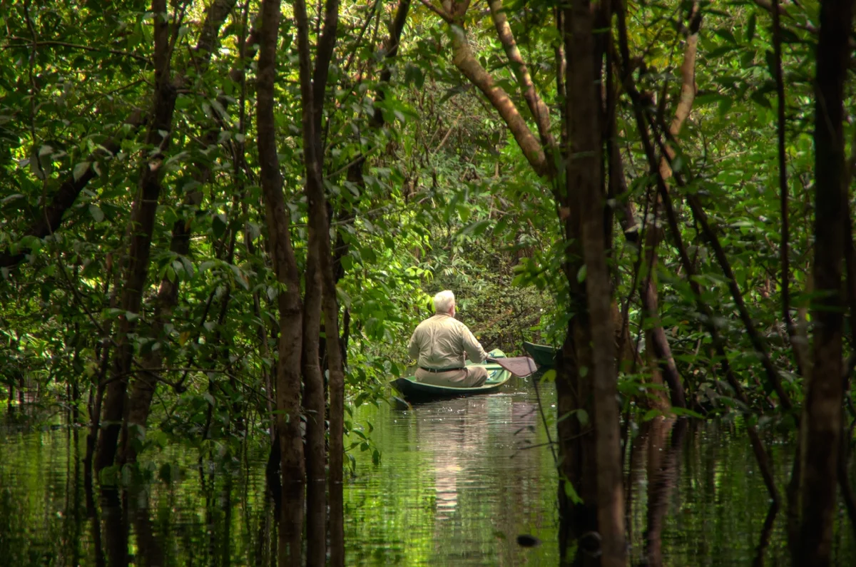 Passeios pela floresta fazem parte da experiência de hospedagem na Amazônia Passeios pela floresta fazem parte da experiência de hospedagem na Amazônia