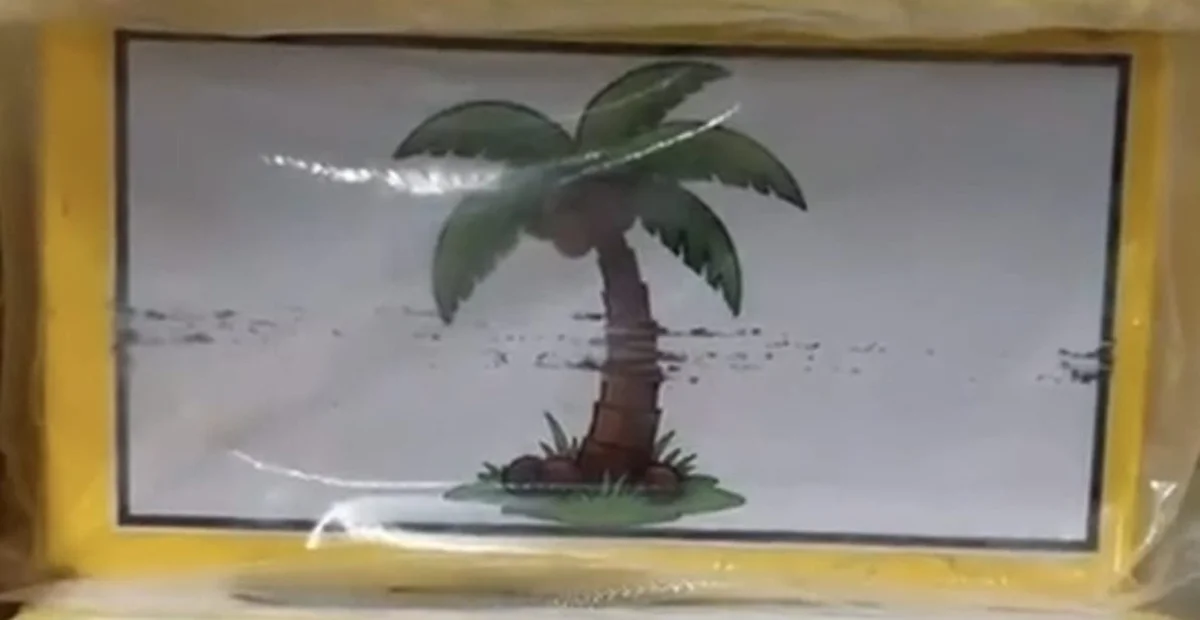 Cocaína do golfinho: do laboratório das Farc na selva colombiana para o DF - imagem 3 Cocaína do golfinho: do laboratório das Farc na selva colombiana para o DF - imagem 3