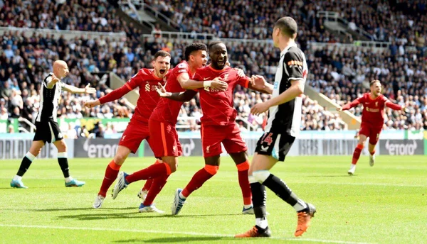 Jogadores comemoram o gol