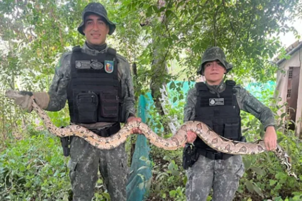 Policiais segurando uma jiboia