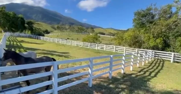fazenda
