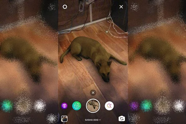 Sasha Dog: saiba como usar o filtro de cachorro no Instagram