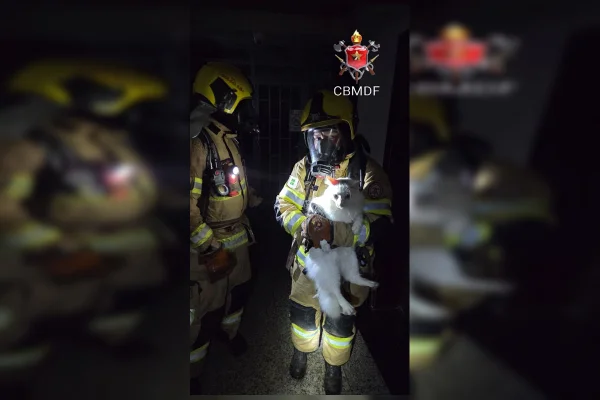 Bombeiros do DF combatem incêndio em carro e bistrô em menos de 3h - destaque galeria Bombeiros do DF combatem incêndio em carro e bistrô em menos de 3h - destaque galeria