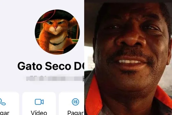 gato seco e valdeci