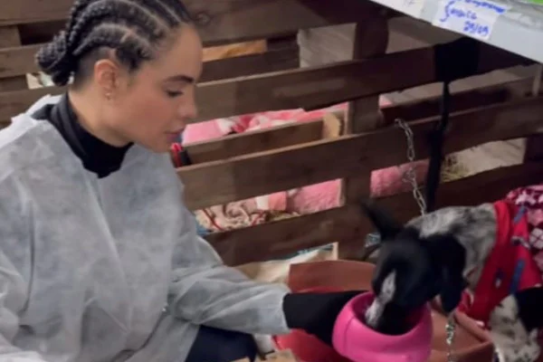 No RS, Aline Mineiro chora ao falar sobre condições de abrigos de cães