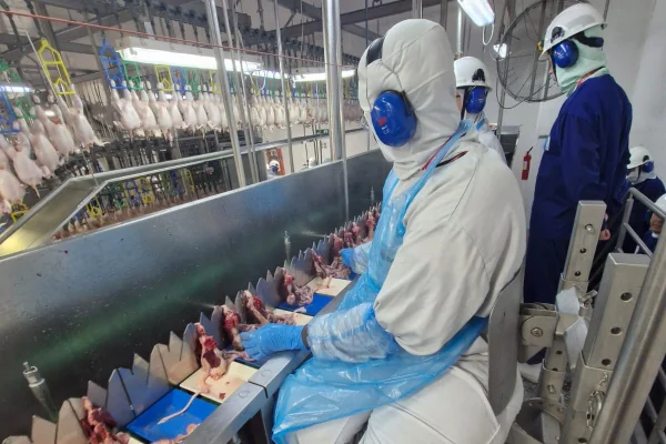 Trabalhadores em uma linha industrial de frigorífico da BRF, em Marau (RS)