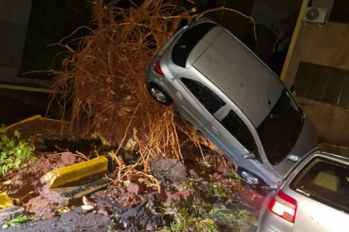 Temporal causa estragos e morte em Ribeirão Preto Temporal causa estragos e morte em Ribeirão Preto