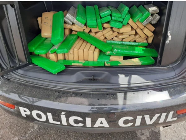 maconha apreendida
