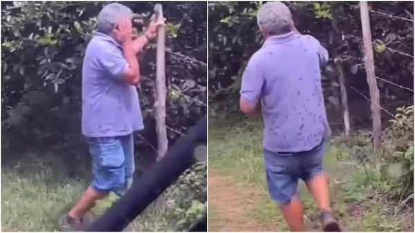 imagem colorida ex-vereador morre apos ataque abelhas