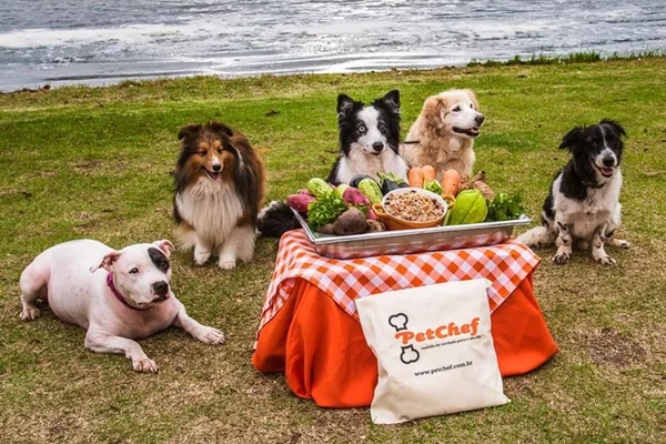 Chef prepara comida à la Bela Gil para animais de estimação fitness
