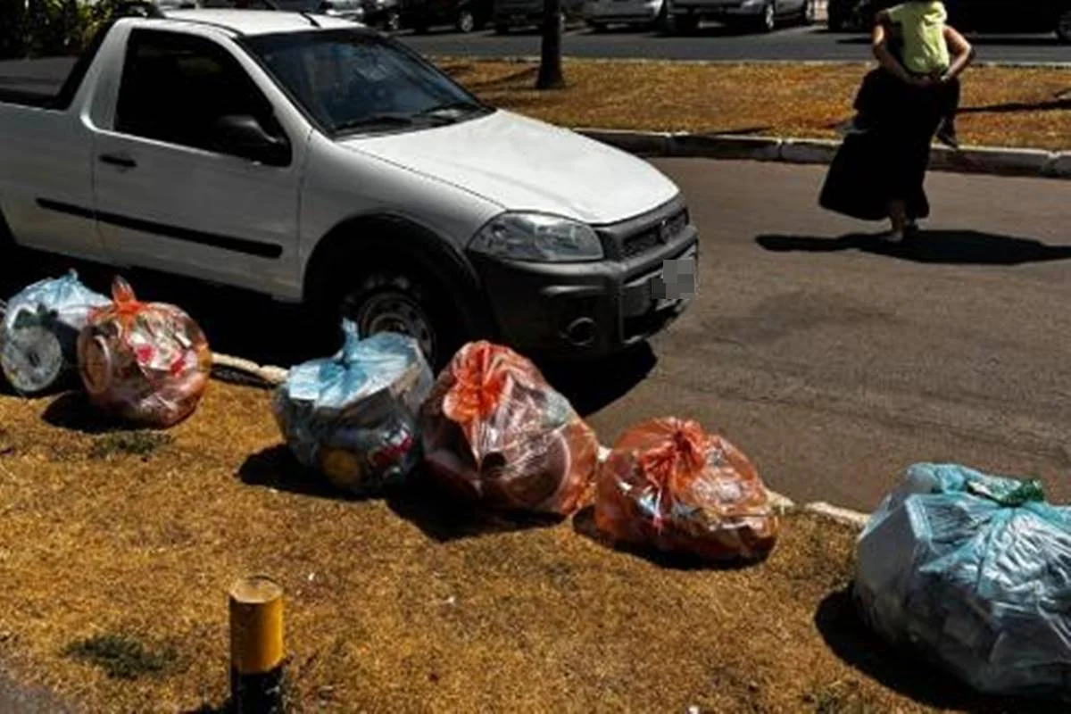 Sacos de lixo deixados no canteiro da via de acesso Sacos de lixo deixados no canteiro da via de acesso