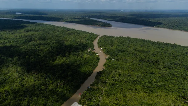 Imagem colorida mostra a floresta amazônica - Metrópoles