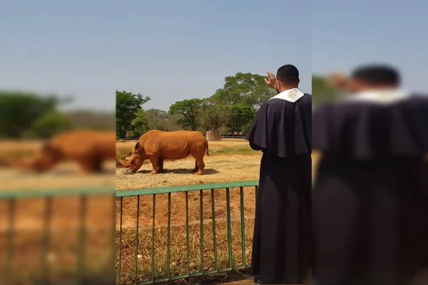 Foto colorida de padre benzendo rinoceronte