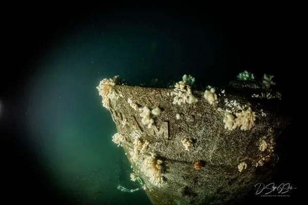Foto colorida de naufrágio de návio britânico no Mar do Norte