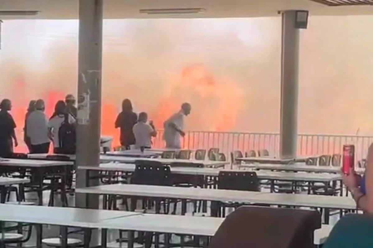 UnB Ceilândia suspende atividades após incêndio em área verde