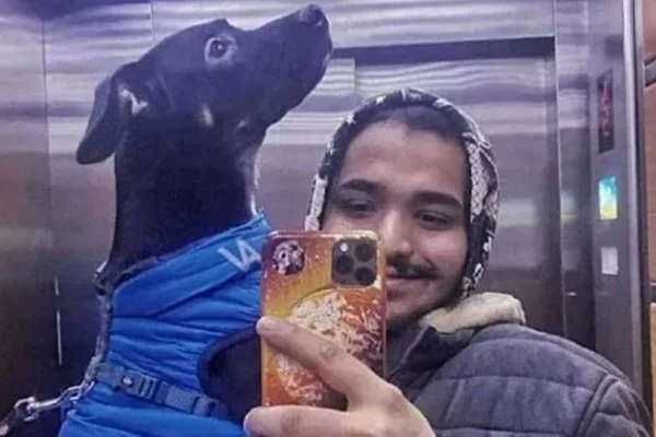 Na foto vemos um homem com blusa de frio e capuz segurando um cachorro com colete azul. Com a outra mão ele tira selfie no espelho do elevador - Metrópoles
