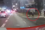 Agressor tacou pedra no ônibus 